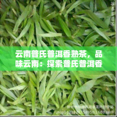 云南普氏普洱香熟茶，品味云南：探索普氏普洱香熟茶的独特魅力