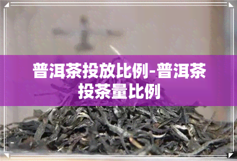 普洱茶投放比例-普洱茶投茶量比例