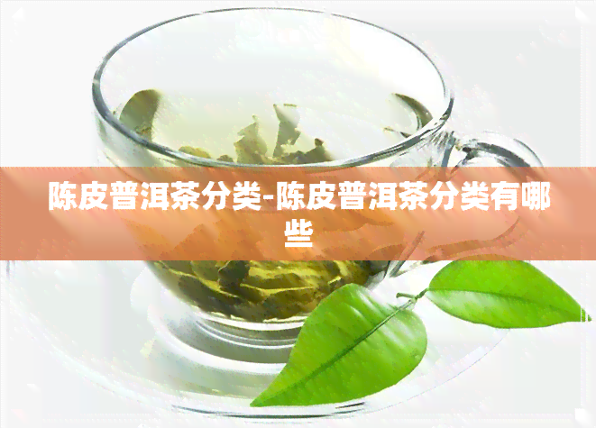 陈皮普洱茶分类-陈皮普洱茶分类有哪些