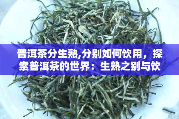 普洱茶分生熟,分别如何饮用，探索普洱茶的世界：生熟之别与饮用方法