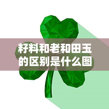 籽料和老和田玉的区别是什么图片，揭秘籽料与老和田玉的区别：看图对比分析！