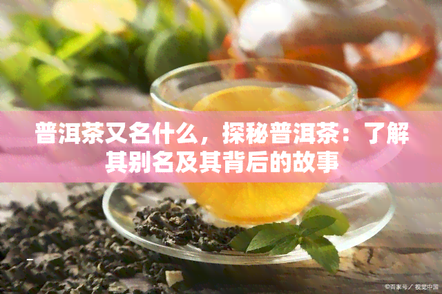 普洱茶又名什么，探秘普洱茶：了解其别名及其背后的故事