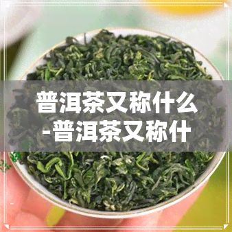 普洱茶又称什么-普洱茶又称什么茶