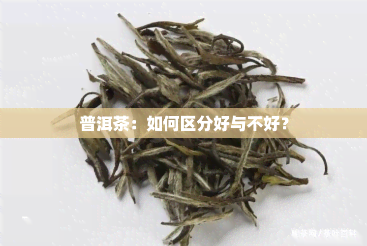 普洱茶：如何区分好与不好？