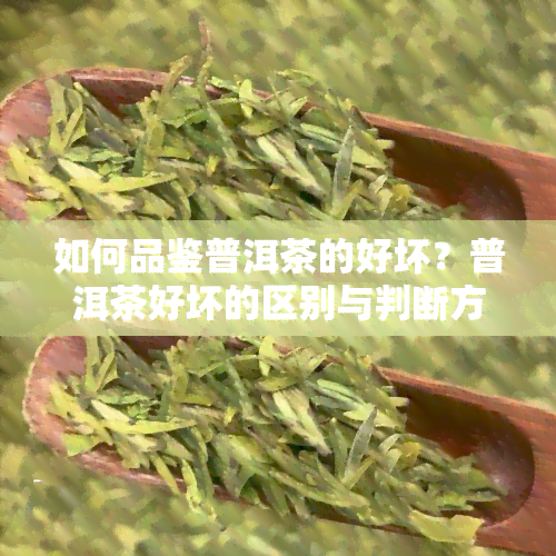 如何品鉴普洱茶的好坏？普洱茶好坏的区别与判断方法