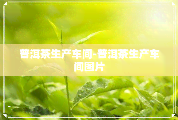 普洱茶生产车间-普洱茶生产车间图片