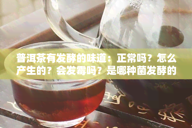 普洱茶有发酵的味道：正常吗？怎么产生的？会发霉吗？是哪种菌发酵的？