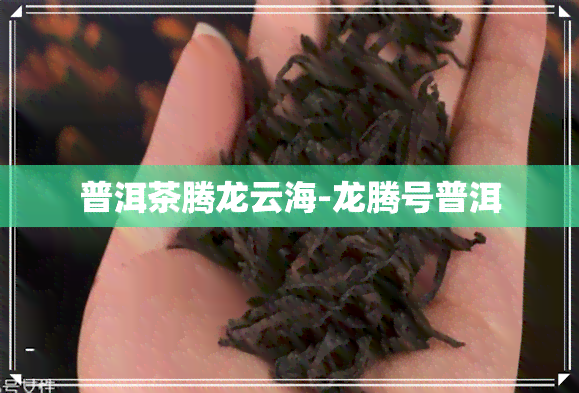 普洱茶腾龙云海-龙腾号普洱