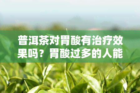 普洱茶对胃酸有治疗效果吗？胃酸过多的人能喝吗？