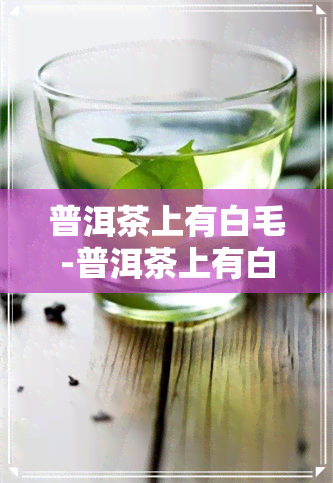 普洱茶上有白毛-普洱茶上有白毛正常吗