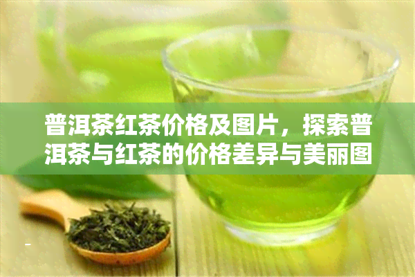 普洱茶红茶价格及图片，探索普洱茶与红茶的价格差异与美丽图片！