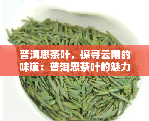 普洱思茶叶，探寻云南的味道：普洱思茶叶的魅力与历