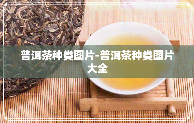 普洱茶种类图片-普洱茶种类图片大全