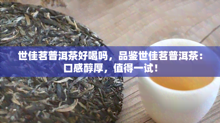 世佳茗普洱茶好喝吗，品鉴世佳茗普洱茶：口感醇厚，值得一试！