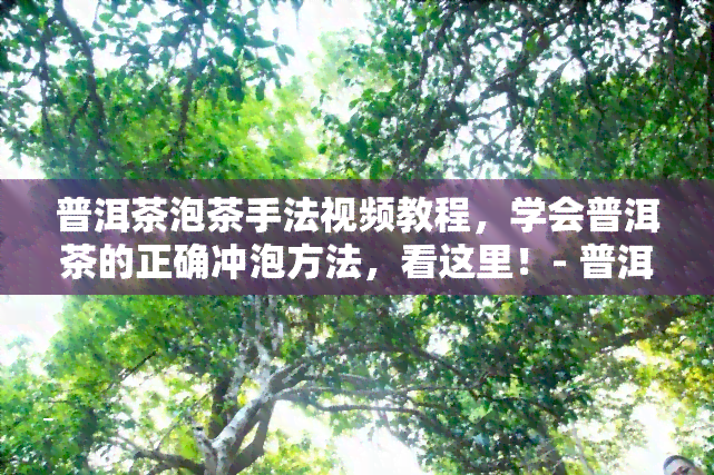 普洱茶泡茶手法视频教程，学会普洱茶的正确冲泡方法，看这里！- 普洱茶泡茶手法视频教程