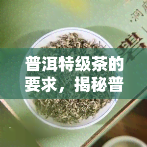 普洱特级茶的要求，揭秘普洱特级茶的严格要求与标准