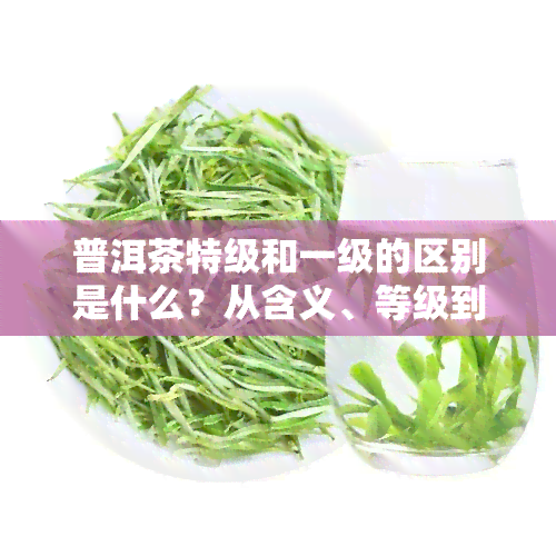 普洱茶特级和一级的区别是什么？从含义、等级到价格全解析！