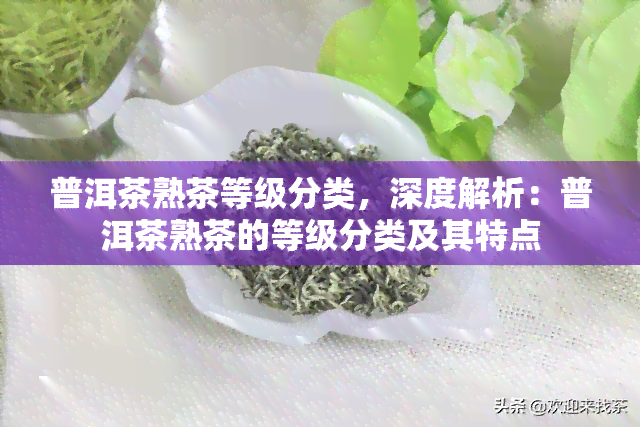 普洱茶熟茶等级分类，深度解析：普洱茶熟茶的等级分类及其特点