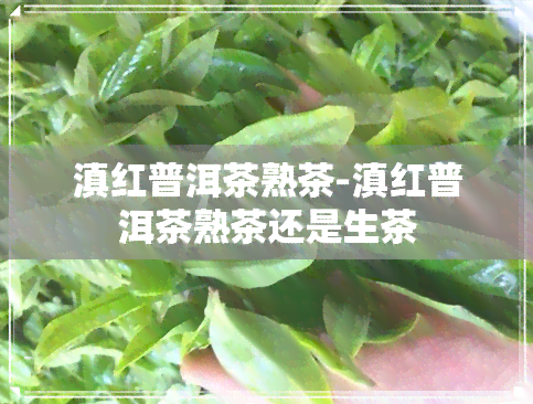 滇红普洱茶熟茶-滇红普洱茶熟茶还是生茶