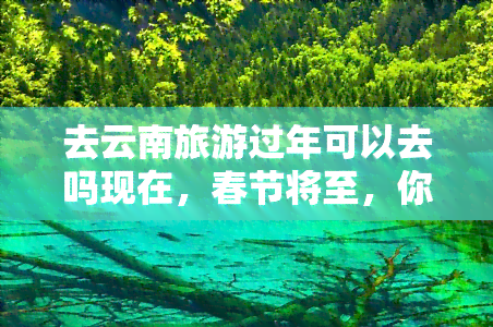 去云南旅游过年可以去吗现在，春节将至，你想好去哪儿过年了吗？今年春节，不如去云南旅游过个不一样的新年！云南以其独特的自然风光、人文景观和美食闻名于世。如果你还没想好去哪里过年，那么不妨考虑一下云南。