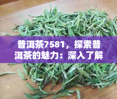 普洱茶7581，探索普洱茶的魅力：深入了解7581普洱茶的特点与品尝技巧