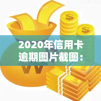 2020年信用卡逾期图片截图：真实案例分享与解决方案探讨