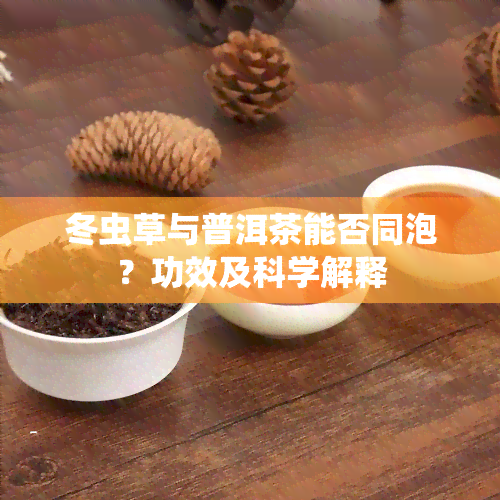 冬虫草与普洱茶能否同泡？功效及科学解释