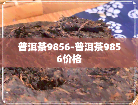 普洱茶9856-普洱茶9856价格