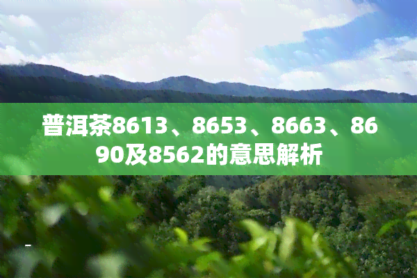 普洱茶8613、8653、8663、8690及8562的意思解析