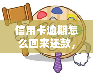 信用卡逾期怎么回来还款，信用卡逾期后如何还款？一份详细的指南