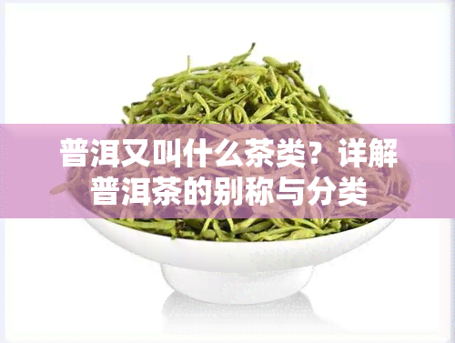 普洱又叫什么茶类？详解普洱茶的别称与分类