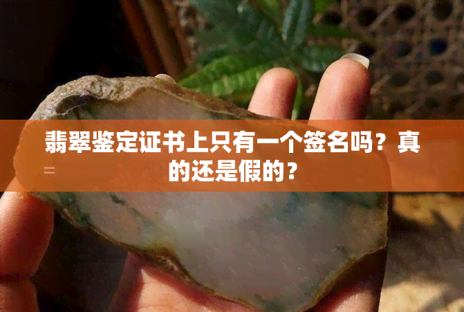 翡翠鉴定证书上只有一个签名吗？真的还是假的？