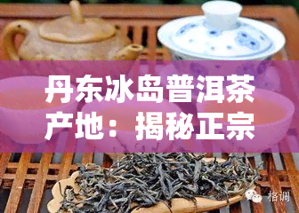 丹东冰岛普洱茶产地：揭秘正宗源头与茶厂信息