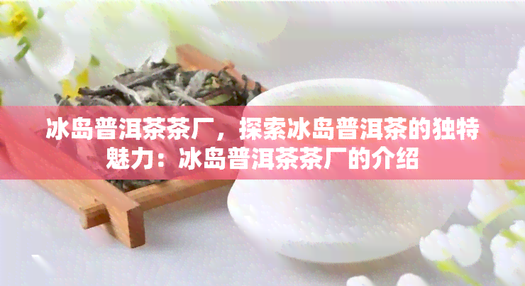 冰岛普洱茶茶厂，探索冰岛普洱茶的独特魅力：冰岛普洱茶茶厂的介绍