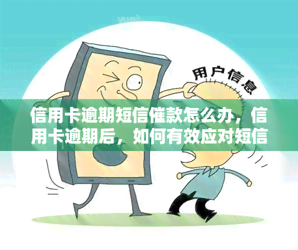 信用卡逾期短信催款怎么办，信用卡逾期后，如何有效应对短信催款？