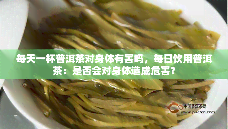 每天一杯普洱茶对身体有害吗，每日饮用普洱茶：是否会对身体造成危害？