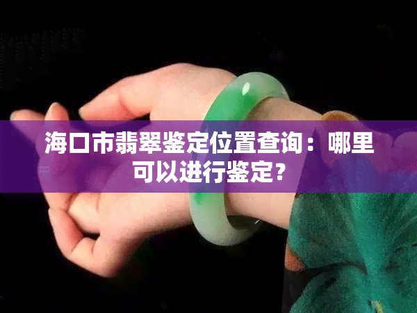 海口市翡翠鉴定位置查询：哪里可以进行鉴定？