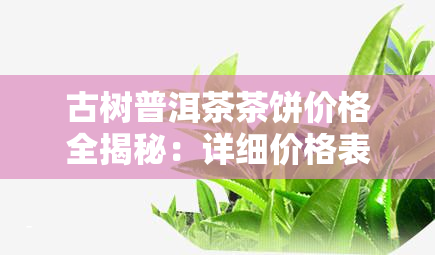 古树普洱茶茶饼价格全揭秘：详细价格表、图片及查询方法