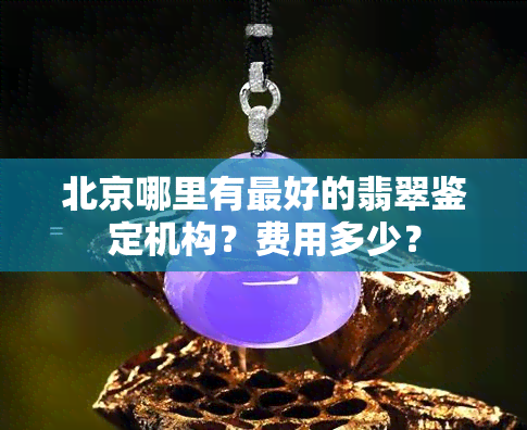 北京哪里有更好的翡翠鉴定机构？费用多少？