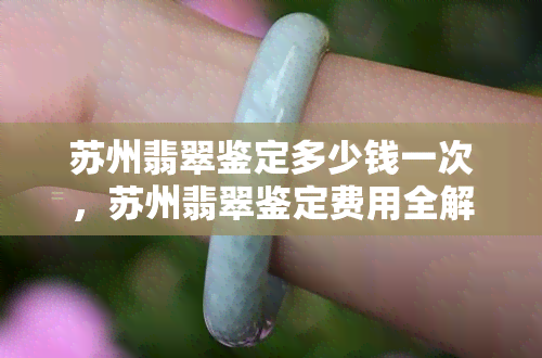 苏州翡翠鉴定多少钱一次，苏州翡翠鉴定费用全解：一次鉴定要多少钱？