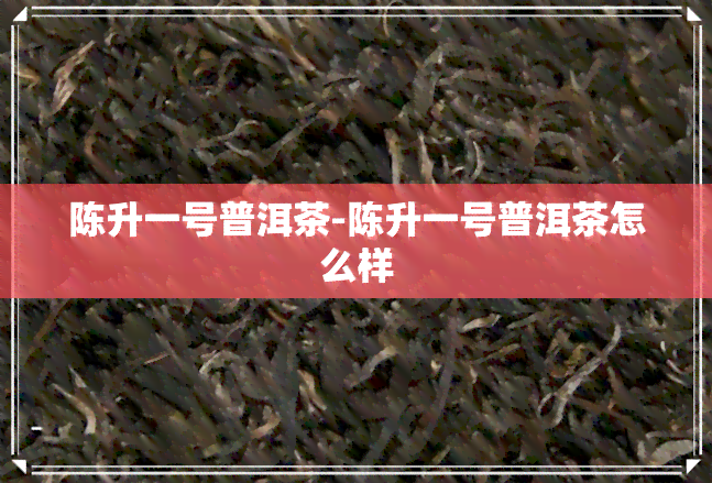 陈升一号普洱茶-陈升一号普洱茶怎么样