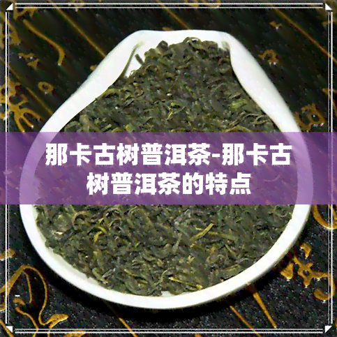 那卡古树普洱茶-那卡古树普洱茶的特点