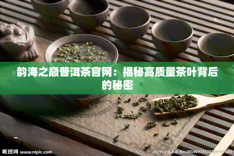 韵海之巅普洱茶官网：揭秘高质量茶叶背后的秘密