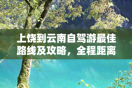 上饶到云南自驾游更佳路线及攻略，全程距离与旅游团价