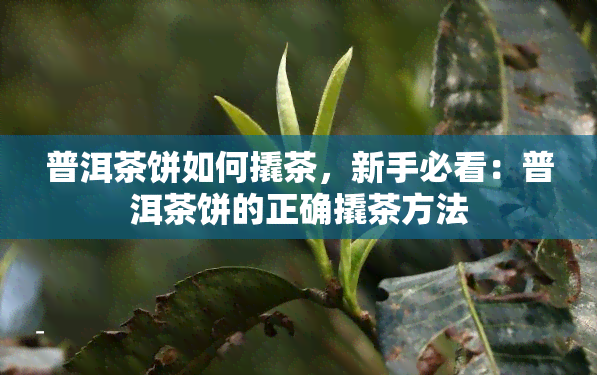 普洱茶饼如何撬茶，新手必看：普洱茶饼的正确撬茶方法