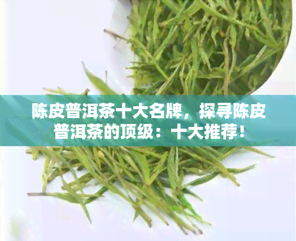 陈皮普洱茶十大名牌，探寻陈皮普洱茶的顶级：十大推荐！