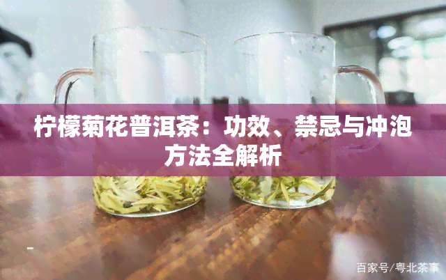 柠檬菊花普洱茶：功效、禁忌与冲泡方法全解析