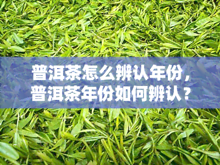 普洱茶怎么辨认年份，普洱茶年份如何辨认？看这篇就够了！