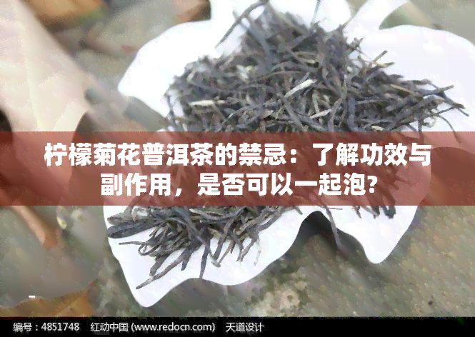 柠檬菊花普洱茶的禁忌：了解功效与副作用，是否可以一起泡?