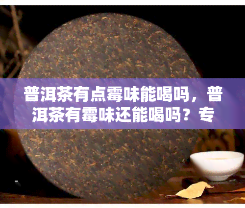 普洱茶有点霉味能喝吗，普洱茶有霉味还能喝吗？专家告诉你真相